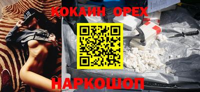 крисы Гусев