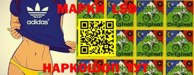 крисы Гусев