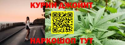 крисы Гусев